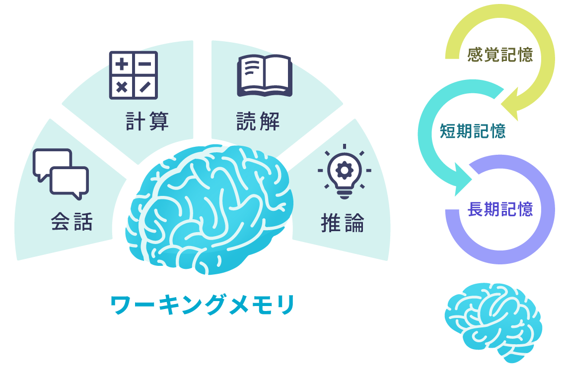 短期記憶とワーキングメモリのイラスト。ワーキングメモリは会話、計算、読解、推論に使われます